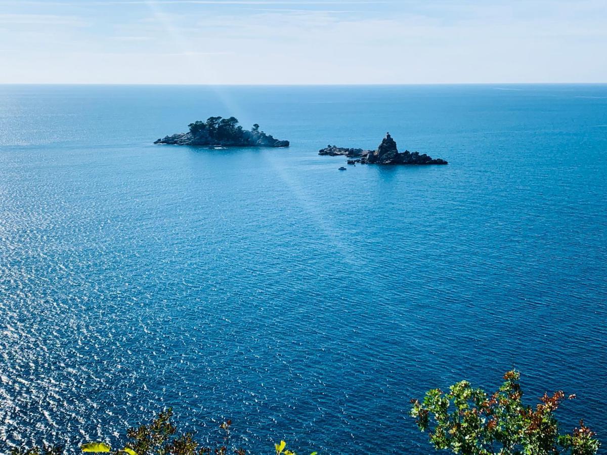 Best View Apartment Petrovac מראה חיצוני תמונה