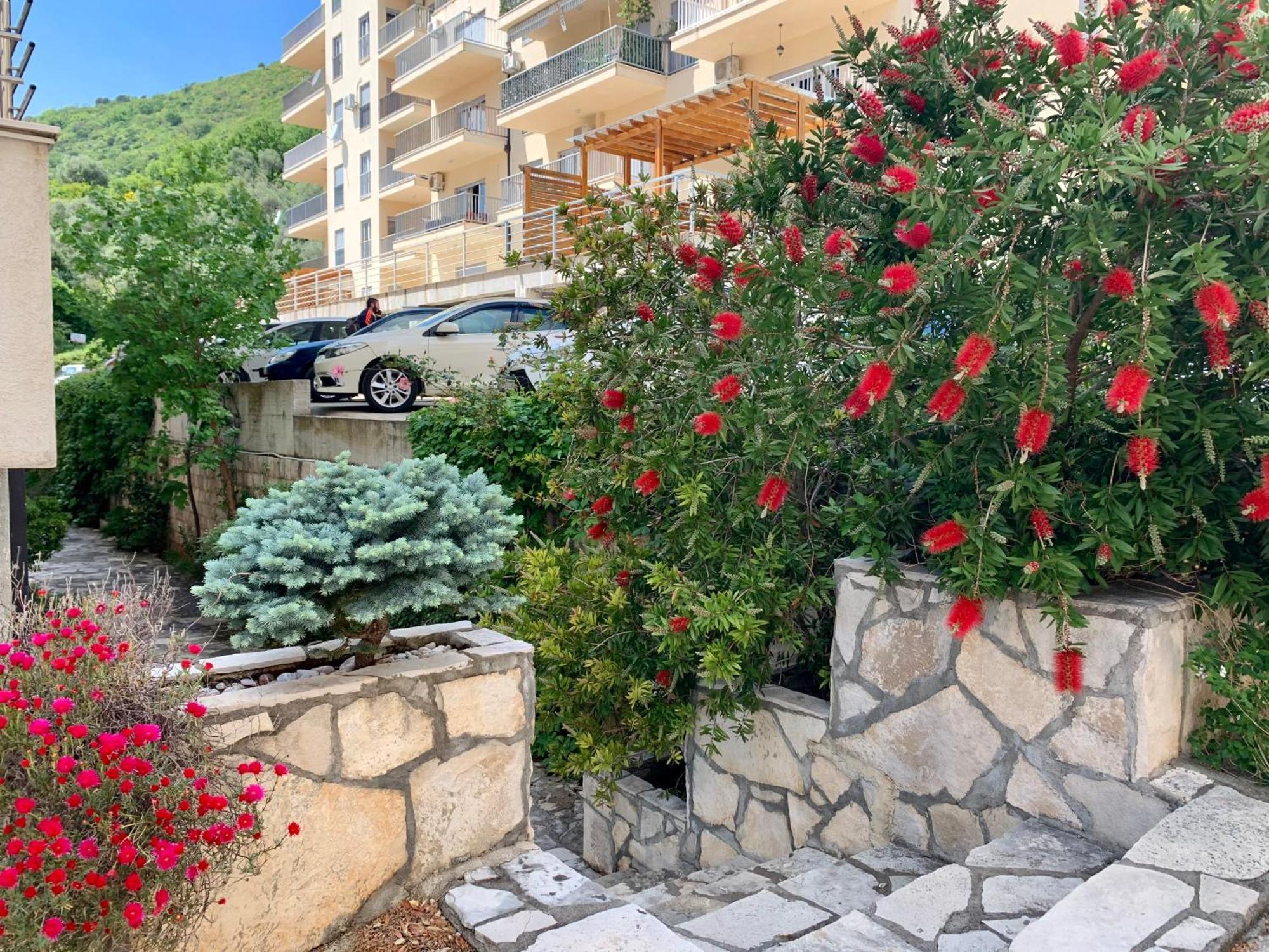 Best View Apartment Petrovac מראה חיצוני תמונה